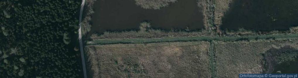 Zdjęcie satelitarne Stawy Korniaktowskie