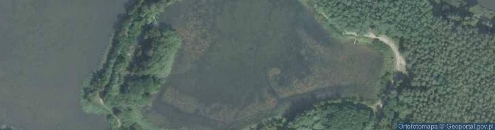 Zdjęcie satelitarne Stawy Toporów