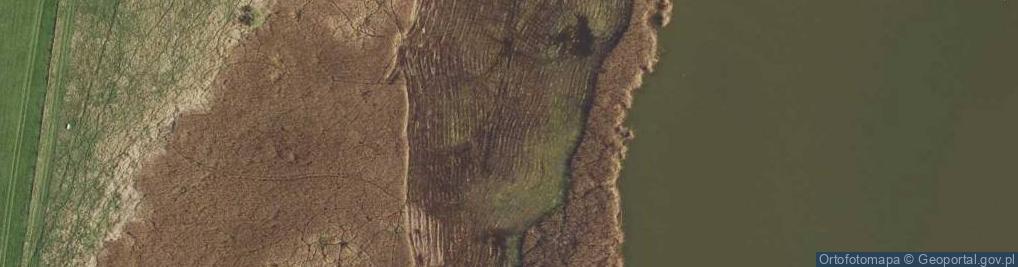 Zdjęcie satelitarne Trzciny Giżewskie