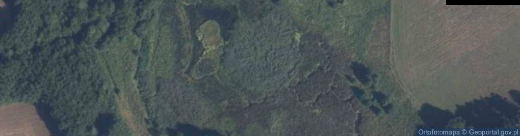 Zdjęcie satelitarne Warblińskie Bagna