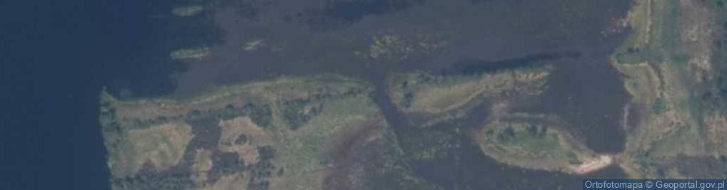 Zdjęcie satelitarne Wielkie Bagna
