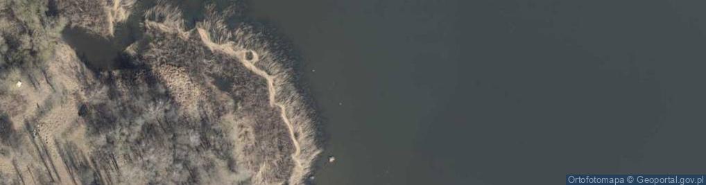Zdjęcie satelitarne Zatoka Łęczna Wielka (jez. Dąbie)
