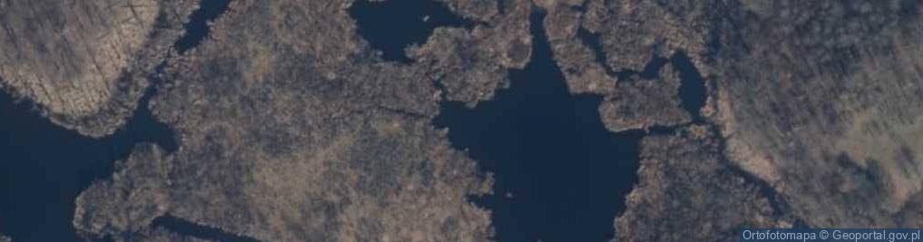 Zdjęcie satelitarne Zatopione Gytiowisko koło Brzezinki