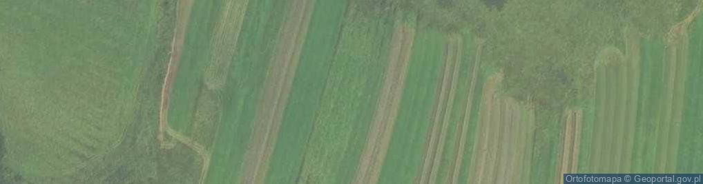 Zdjęcie satelitarne 13przedkosciolemwdlugop