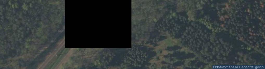 Zdjęcie satelitarne Abies lasiocarpa Rogów