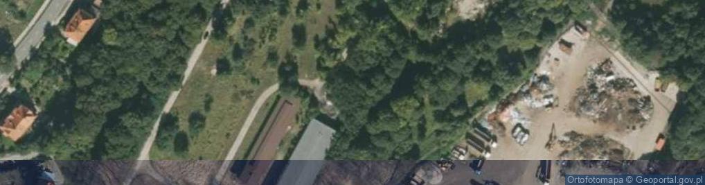 Zdjęcie satelitarne Abolished railway station Reichenstein