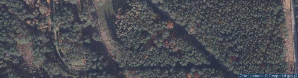Zdjęcie satelitarne Alejka z kamieniami poświęconymi pamieci ofiar