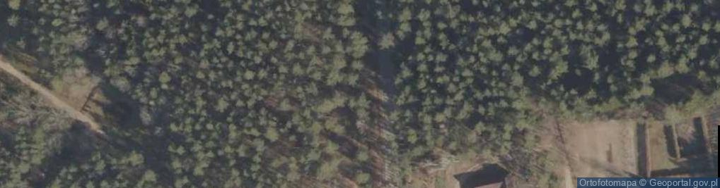 Zdjęcie satelitarne Arboretum w Kopnej Gorze kamien Wygralaka