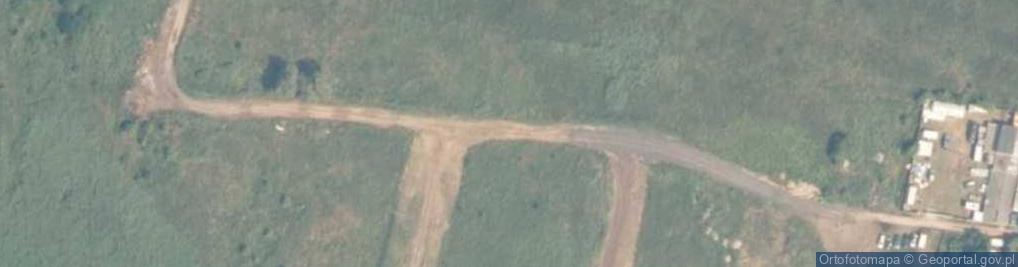 Zdjęcie satelitarne Arion vulgaris