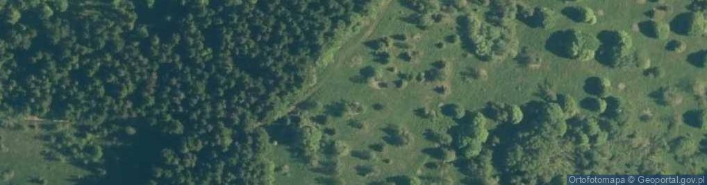 Zdjęcie satelitarne Babia góra z kiczory