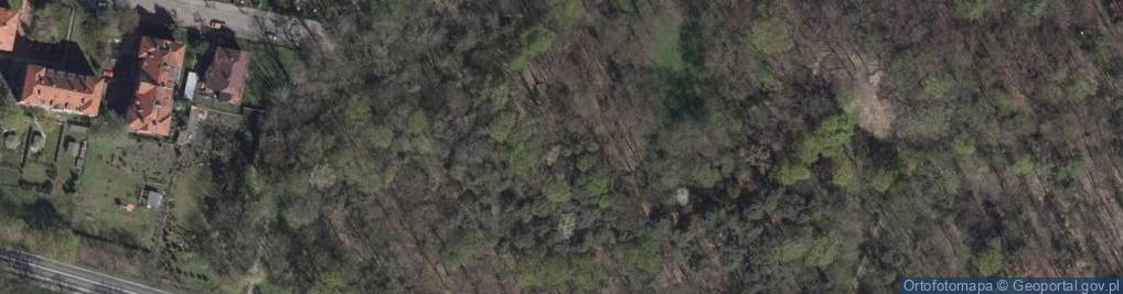Zdjęcie satelitarne Baszta-tkaczy-chojnow