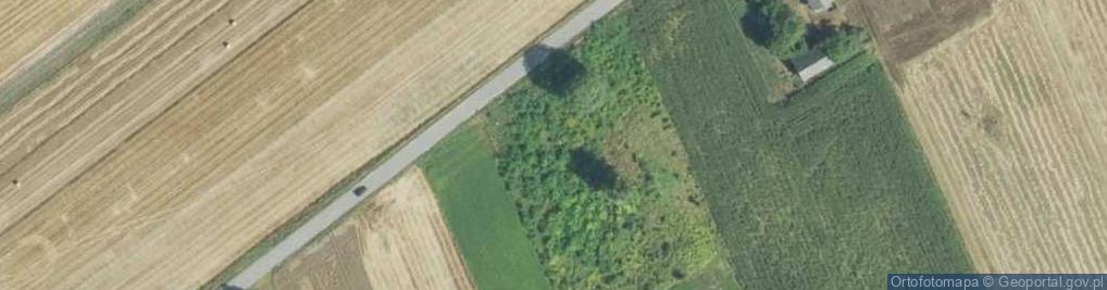 Zdjęcie satelitarne Bejsce church 20060624 1321