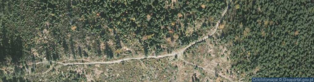 Zdjęcie satelitarne Beskid Slaski, Stozek z Kiczor