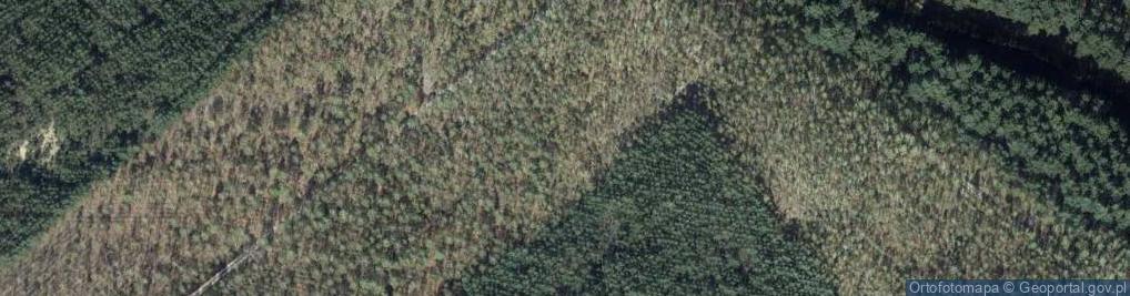 Zdjęcie satelitarne Bettmann grob