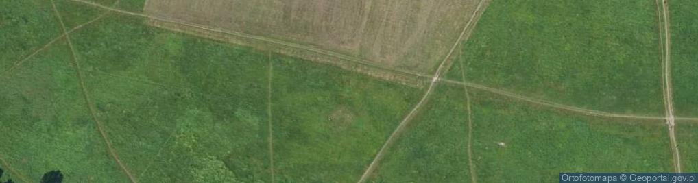 Zdjęcie satelitarne Bialy marsz 08