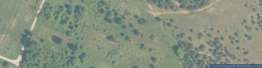 Zdjęcie satelitarne Boleslaw straz pozarna