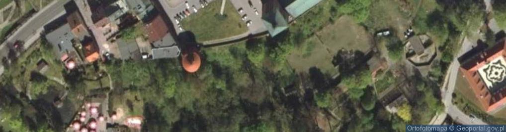 Zdjęcie satelitarne Braniewo pomnik bl Reginy