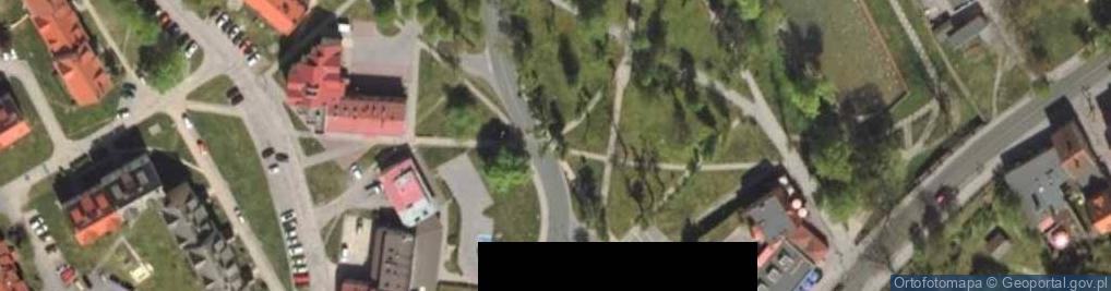 Zdjęcie satelitarne Braniewo sad z bliska