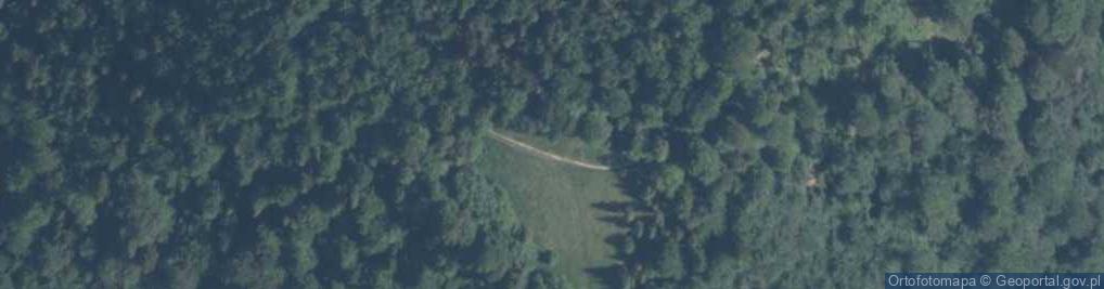 Zdjęcie satelitarne Bukowinka 1