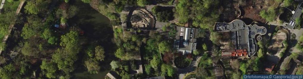 Zdjęcie satelitarne Caligo memnon (Wroclaw zoo)-3
