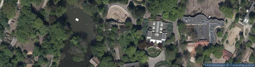 Zdjęcie satelitarne Chaetophractus villosus (Wroclaw zoo)