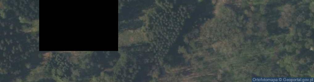 Zdjęcie satelitarne Chamaecyparis pisifera experimental forest 2