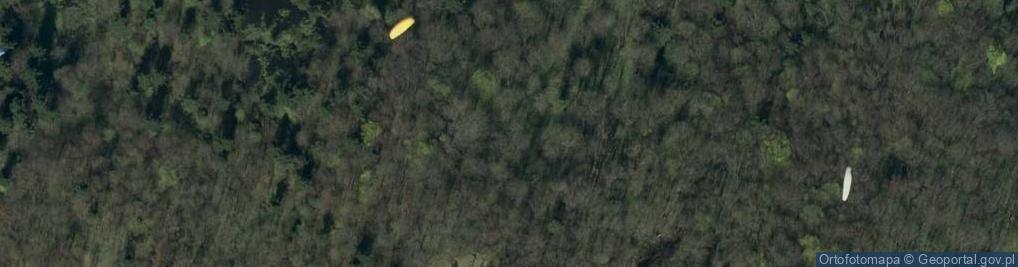 Zdjęcie satelitarne Chełm780 z Klimkówki