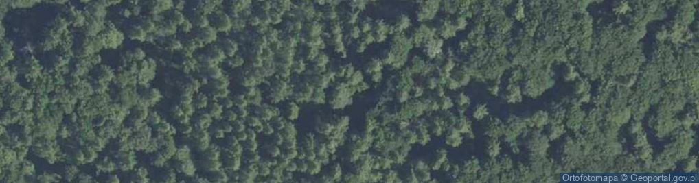 Zdjęcie satelitarne Chelmowa Gora 20050502 0903