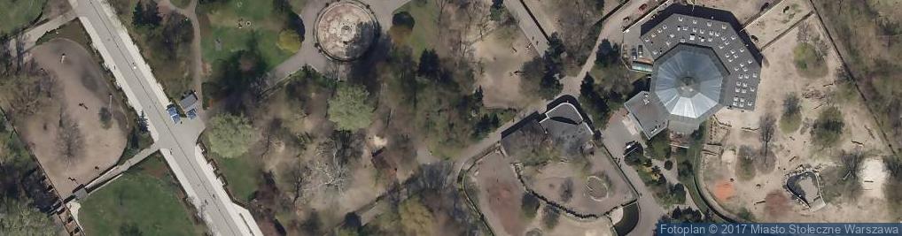 Zdjęcie satelitarne Chimpanzee in zoo AB