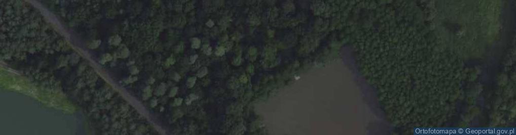 Zdjęcie satelitarne Chorzemin-palac