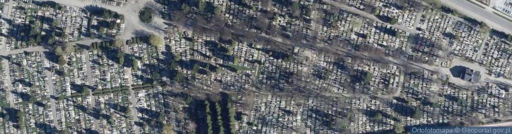 Zdjęcie satelitarne Cmentarz Komunalny w Kłodzku - główna aleja