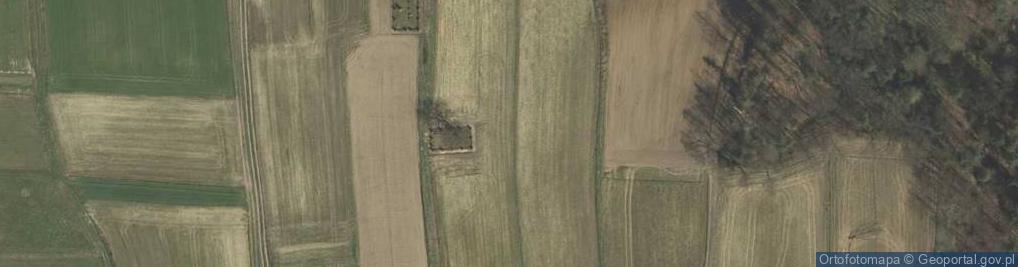 Zdjęcie satelitarne Cmentarz wojenny 307 w Łąkcie Dolnej 1