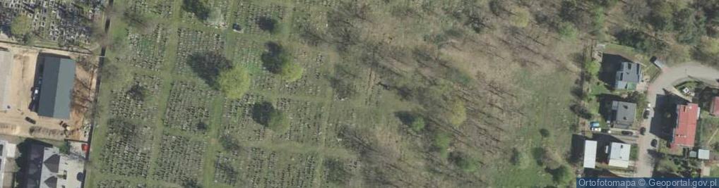 Zdjęcie satelitarne Cmentarz żydowski na Wschodniej