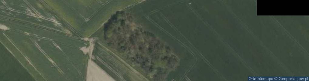 Zdjęcie satelitarne Cmentarz żydowski w Wielowsi18