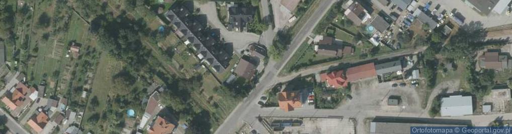 Zdjęcie satelitarne Common Tern