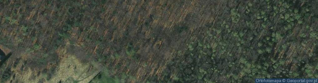 Zdjęcie satelitarne Czajowice a1