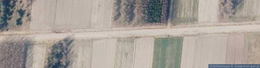 Zdjęcie satelitarne Czeremcha - Road
