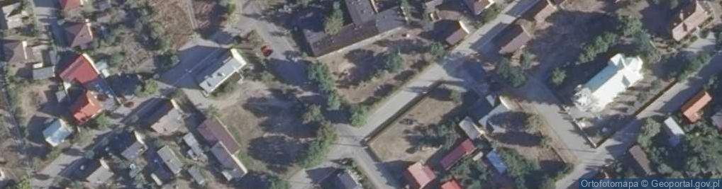 Zdjęcie satelitarne Dab papieski 54 w Michalowicach