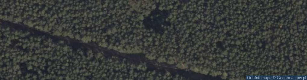 Zdjęcie satelitarne Dąbcze z lotu ptaka