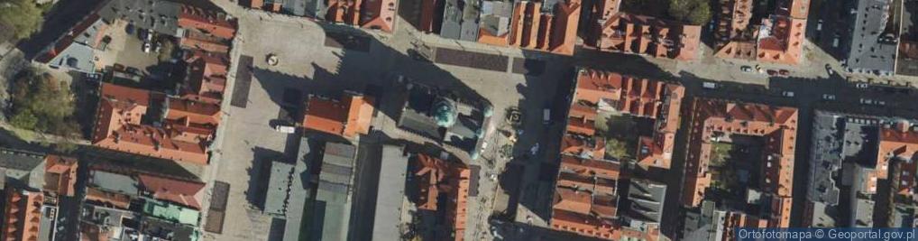 Zdjęcie satelitarne Dezydery Chłapowski popiersie