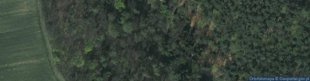 Zdjęcie satelitarne Dolina-bolechowicka-brama-1