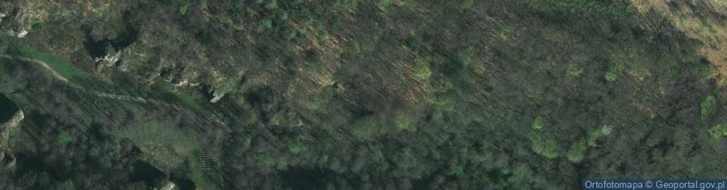 Zdjęcie satelitarne Dolina Mnikowska a3