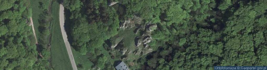 Zdjęcie satelitarne Dolina Prądnika a6