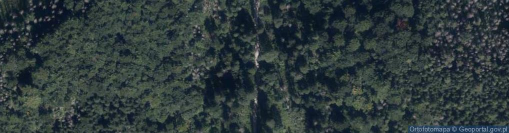 Zdjęcie satelitarne Dolina Strążyska na jesieni