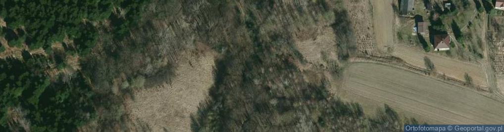 Zdjęcie satelitarne Drewnian dom z XIX w.