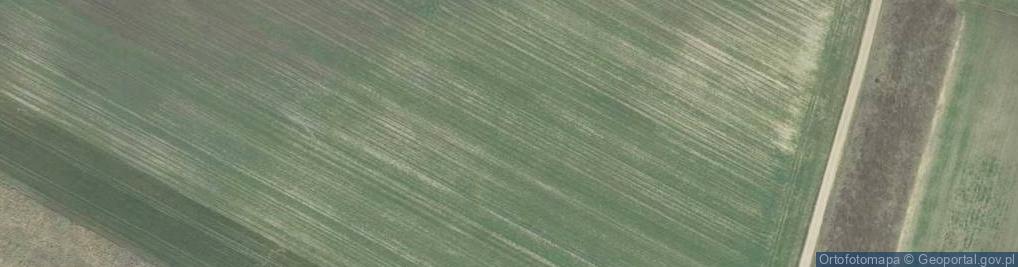 Zdjęcie satelitarne Dubiny fragment wsi 12.07.2009 p