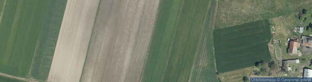 Zdjęcie satelitarne Dziadow most-pomnik