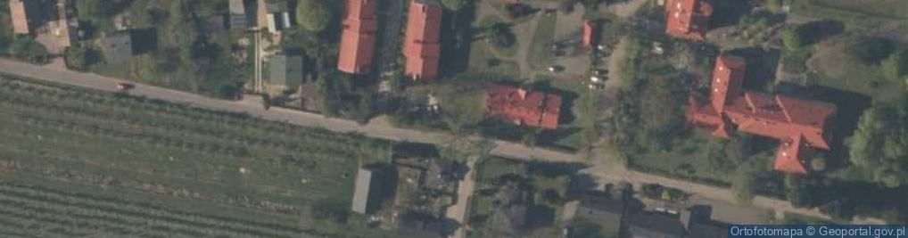 Zdjęcie satelitarne Fagus sylvatica Rogów