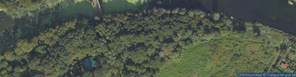 Zdjęcie satelitarne Flis potok