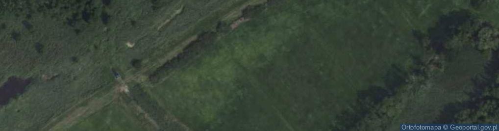 Zdjęcie satelitarne Głaz w Wielkopolskim Parku Narodowym (Franciszek Jaśkowiak) 